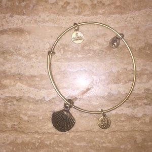 Alex and Ani shell